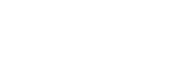 Ricco Watches